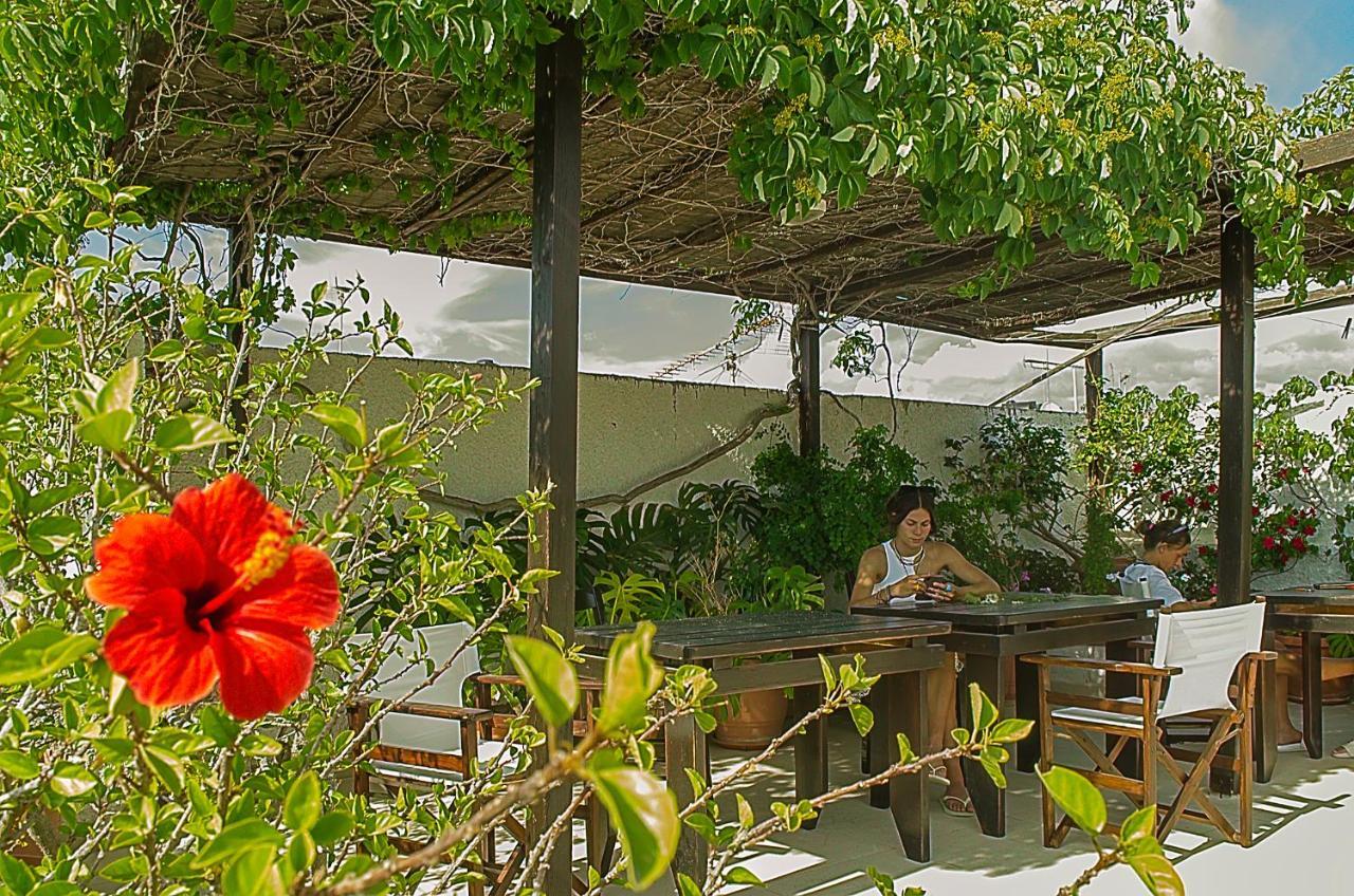 Kalypso Studios & Rooms Палеохора Экстерьер фото